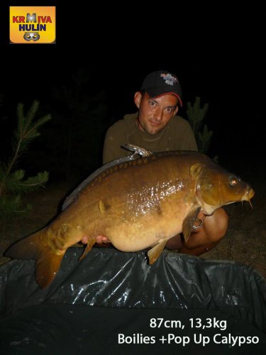 87cm, 13,3kg, boilies Calypso, pop up Calypso