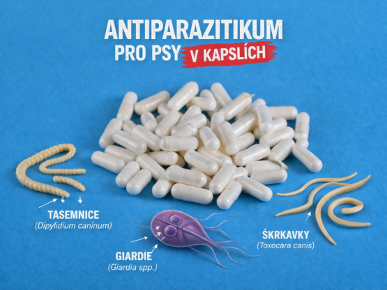 ANTIPARAZITIKUM - Kapsle 650 mg - Přírodní, komplexní a velmi účinné - pro psy (Krmiva Hulín, ATPK-1) | Krmiva Hulín