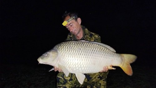 Boilies Pikantní perník