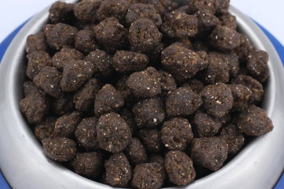 Hybridní krmivo - PLANT PROTEIN and FISH - Ledviny, Alergici, EPI, Senioři - Vyberte balení: 500 g