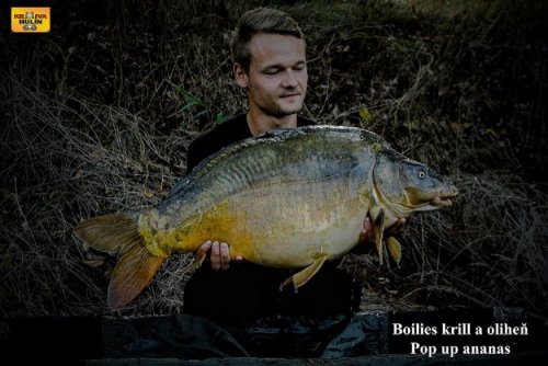 Boilies krill/oliheň, pop up ananas