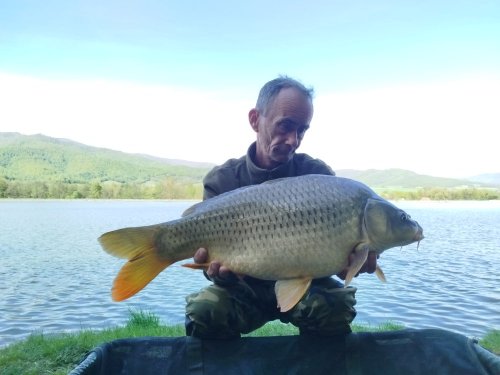Boilies Hot chilli calanus