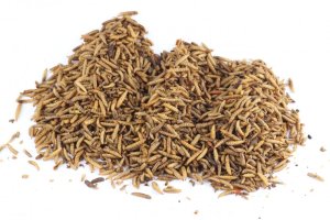 Sušený hmyz - Larva Bránenky (Vyrobeno v EU, SHLB-1) | Krmiva Hulín