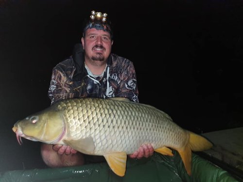 Boilies Frankfurtská klobása