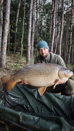 14,1kg, boilies Pikantní perník