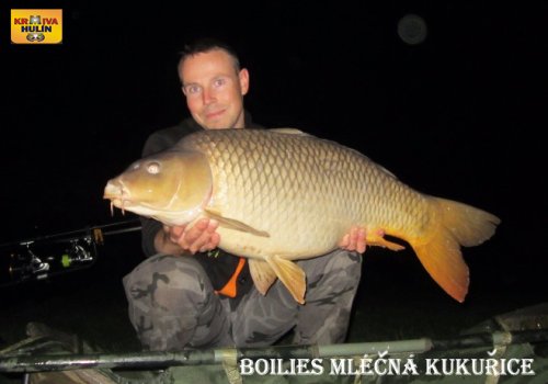 Boilies mléčná kukuřice