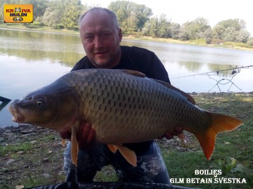 Boilies GLM betain se Švestkou