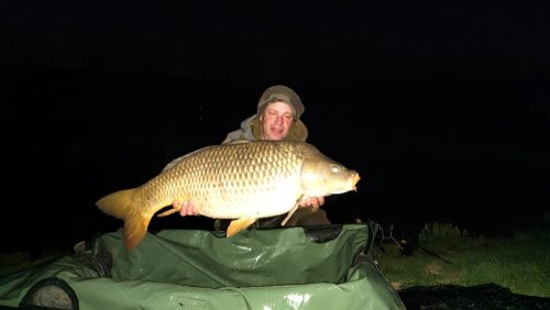 Rozpustné boilies Krill a Oliheň