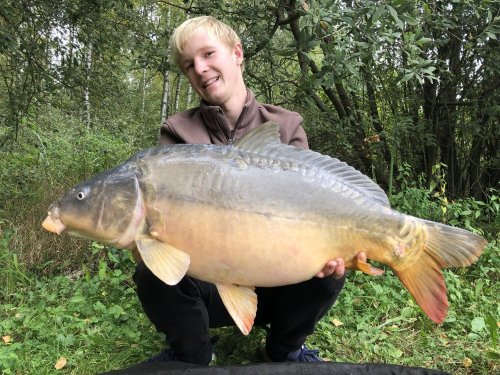 Boilies Pikantní krill
