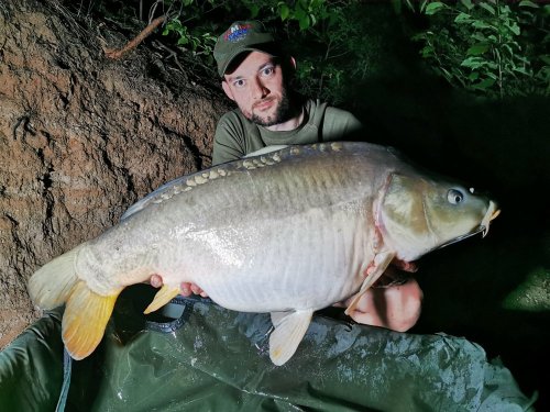 15,6kg, boilies Krill se švestkou