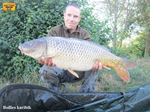 Boilies karibik