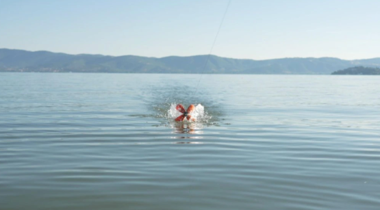 Krmící raketa - Spyder Spod