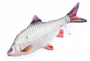 Plyšová ryba Gaby - PLOTICA OBECNÁ - 52 cm
