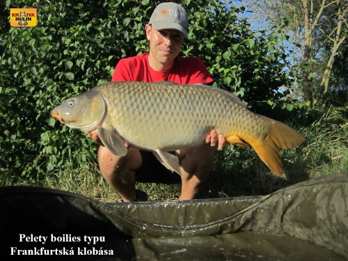 Pelety boilies frankfurtská klobása