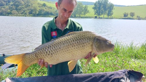 Boilies Frankfurtská klobása