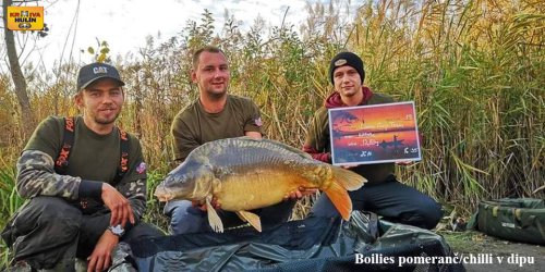 Boilies pomeranč/chilli v dipu