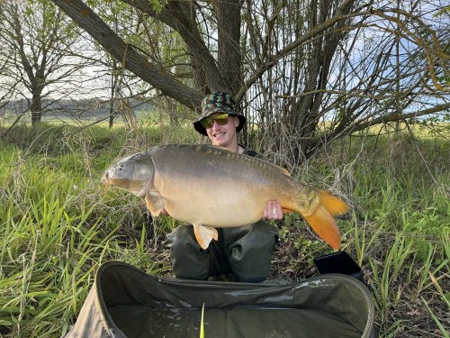 Boilies Pikantní krill, pop up Bílý pepř