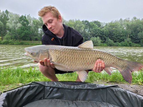 Boilies Pikantní jahoda