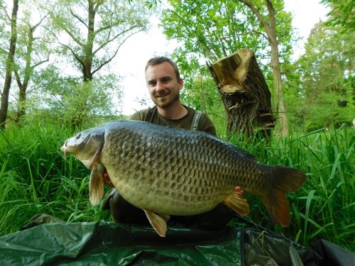 Boilies Pikantní jahoda
