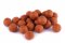 Wafters - Vyvážené Korkové Boilies - PIKANTNÍ KRILL - Ø 24 mm (Krmiva Hulín, KBPK24-1) | Krmiva Hulín