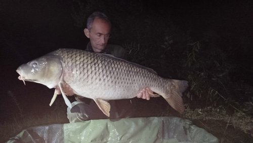 Boilies Mefisto