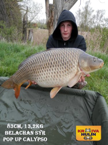 83cm, 13,2kg, boilies Belachan/Sýr, pop up Calypso, svazová voda