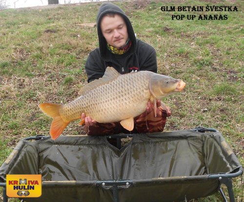 10kg, GLM betain se Švestkou, pop up Ananas, svazová voda 10kg, GLM betain se Švestkou, pop up Ananas, svazová voda