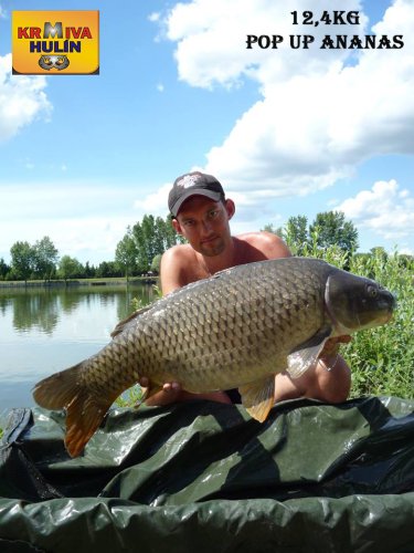 12,4kg, zig rig - pop up Ananas