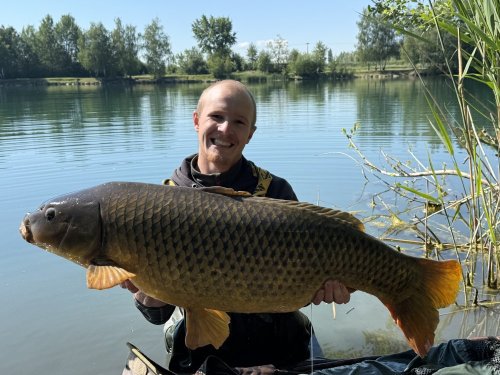 Boilies Pikantní krill