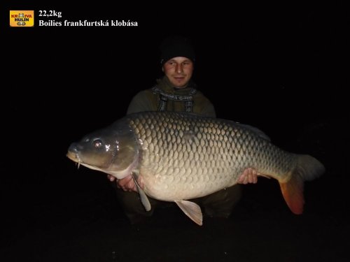 22,2kg, boilies frankfurtská klobása