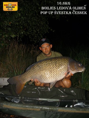 16,6kg, boilies ledová oliheň, pop up švestka/česnek
