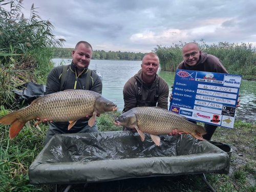 Boilies Pikantní perník Boilies Pikantní perník
