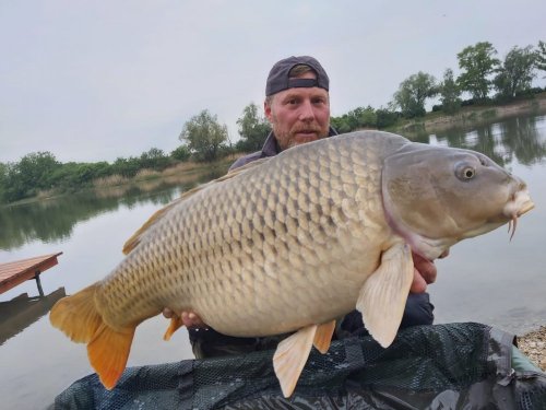 Boilies Pomeranč/Chilli