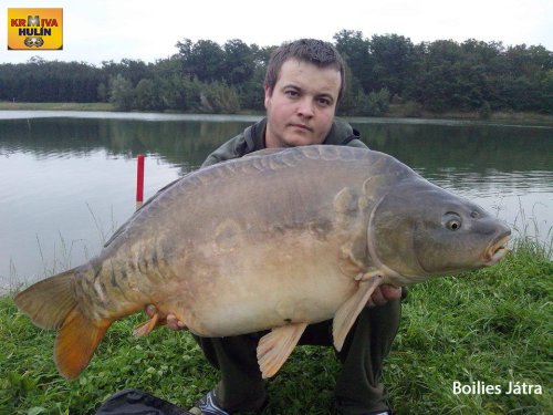 Boilies Játra