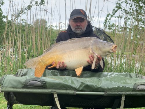 Boilies Pikantní krill