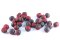 Boilies Duplex - KAPR SPECIÁL / CALYPSO - Ø 24 mm (Krmiva Hulín, BDKSC24-1) | Krmiva Hulín