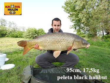 95cm, 17,5kg, halibut peleta 2 X 20 mm