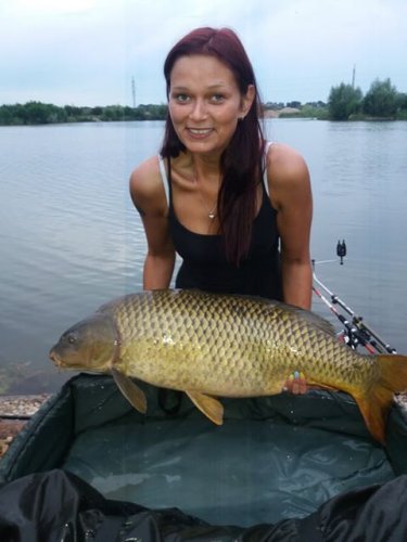Boilies Mléčná kukuřice, pop up Ananas