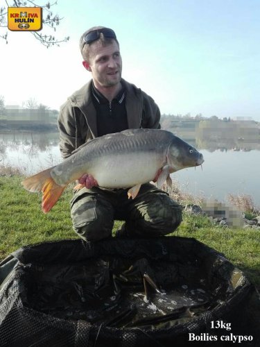 Boilies calypso.