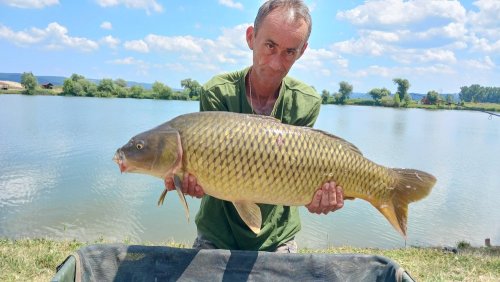 Boilies Jeseter