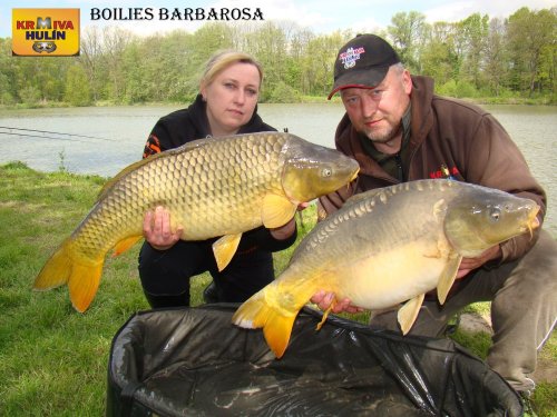 Boilies barbarosa