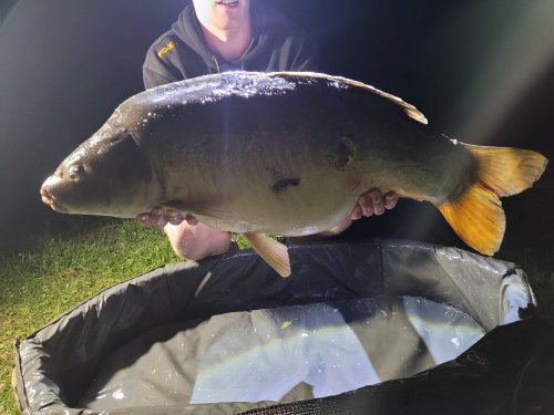Boilies Pikantní jahoda