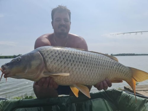 Boilies Frankfurtská klobása