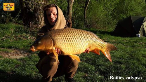 Boilies calypso, řeka Váh.