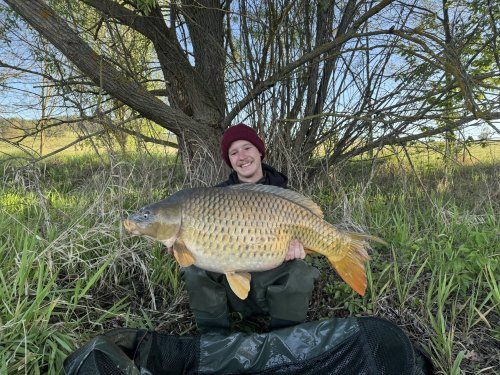 Boilies Pikantní krill, pop up Bílý pepř