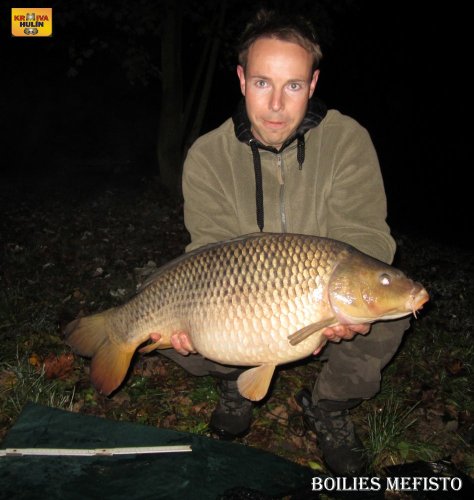 Boilies mefisto