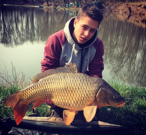 Boilies Calypso v gelu Calypso