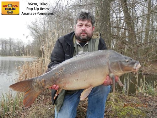86cm, 10kg, pop up Ananas, Pomeranč/Med, svazová voda