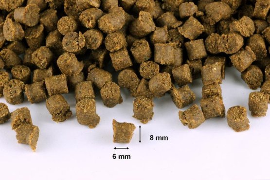VÝCVIKOVÝ PAMLSEK - Ryba s řasou - zelený 8 mm - Vyberte balení: 250 g
