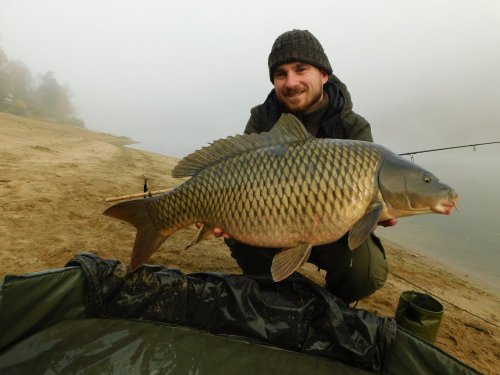 Boilies Pikantní jahoda